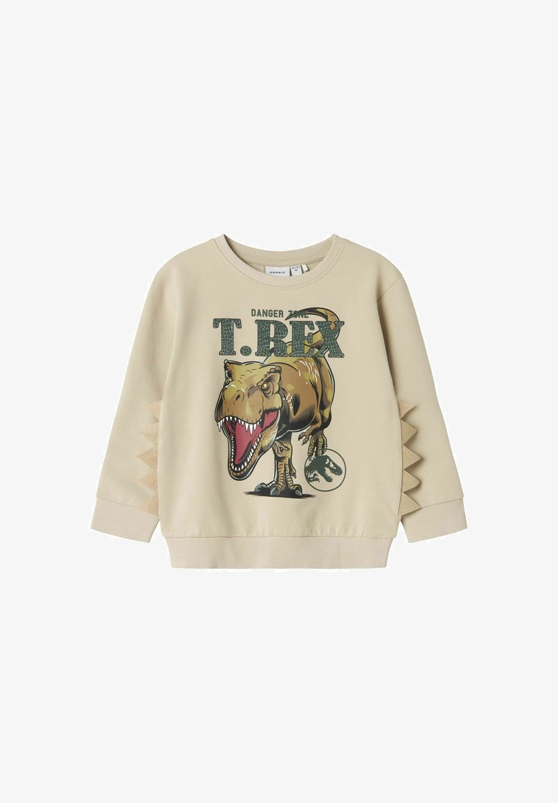 Beež kapuutsiga sviiter, millel on T-Rex graafika. Ribaga ümberkaudne kaelus, tekstuuriga külgdetailid, mis meenutavad dinosauruse selgroogu, ja detailsed trükised.