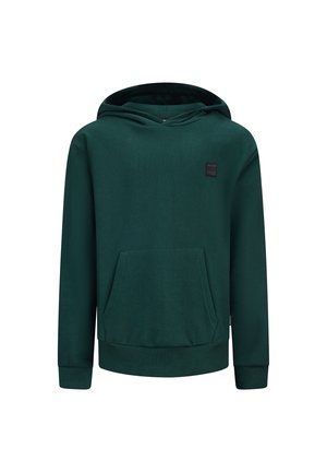 Groene hoodie van zacht materiaal, voorzien van een voorzak, verstelbare capuchon en ribgebreide manchetten en zoom, met een klein logopatch op de borst.