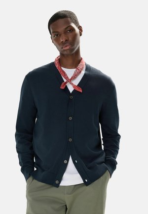 Young man wearing a navy blue buttoned cardigan, white shirt, red patterned neckerchief, and olive green pants with hands in pockets.