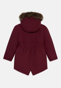 Columbia NORDIC STRIDER JACKET - Zimná bunda - rich wine
