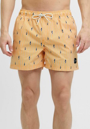 JPSTMAUI MINI STRIPE - Badeshorts - iceland poppy