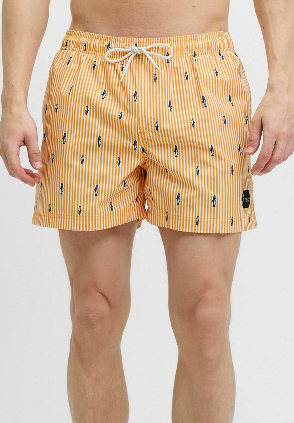 JPSTMAUI MINI STRIPE - Badeshorts - iceland poppy