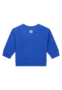 Blauwe katoen sweatshirt met een ronde halslijn, ribgebreide mouwen en zoom. Heeft een logo-label op de achterkant. Textuurstof.