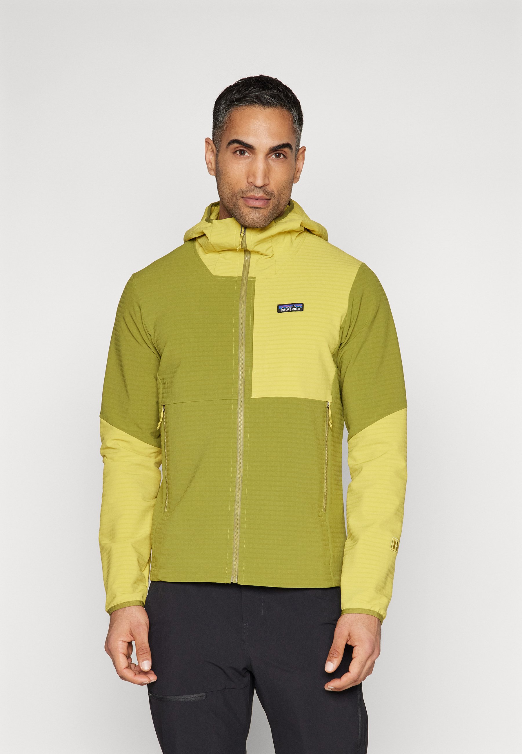 Patagonia HOODY Outdoorjacke graze green/dunkelgrün