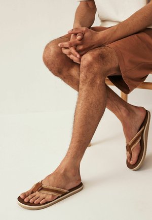 FLIP FLOPS REGULAR FIT - T-bar sandals - tan brown