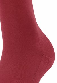 FALKE CLIMA - Kniestrümpfe - scarlet
