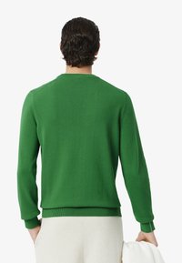 Grüner Strickpullover mit langen Ärmeln und gerippten Bündchen. Verfügt über einen runden Halsausschnitt und eine glatte Textur. Die Rückansicht zeigt ein tailliertes Design.