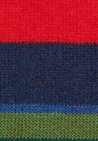 Nahaufnahme eines gewebten Stoffes, der horizontale Streifen in Rot, Marineblau, Blau und Grün zeigt.