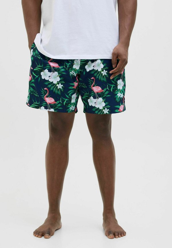 PLUS SIZE REGULAR FIT - Badeshorts