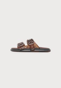 Δεν επιλέχθηκε, brown