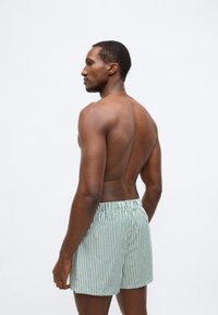 Ανδρικά μαγιό βερμούδα με πράσινες και λευκές ρίγες, με ελαστική μέση, απαλό ύφασμα, μήκος μέχρι το μέσο του μηρού. Το μοντέλο στέκεται χαλαρό, σε πλάγια όψη.