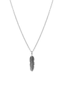 Zilveren ketting met een gedetailleerde verenhanger, voorzien van gestructureerde bladvormen en een gepolijste afwerking. Elegante en lichte stijl.