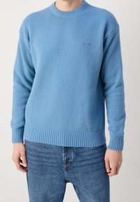 Hellblauer Strickpullover mit rundem Ausschnitt, gerippten Bündchen und Saum, mit einem dezenten Logo auf der Brust. Strukturierter Stoff, lässige Passform.