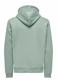 Hellgrüner Hoodie, Rückansicht, mit langen Ärmeln, Kapuze und gerippten Bündchen sowie Saum.