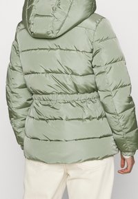 Zelená prošívaná bunda s kapucí, která má elastický pas a hladký, lesklý povrch. Zadní pohled ukazuje slim fit.