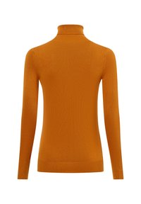 Orange gestrickter Rollkragenpullover mit langen Ärmeln, geripptem Kragen und Saum, glatter Textur und tailliertem Design. Rückansicht gezeigt.