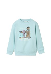 Lichtblauwe crewneck sweatshirt van katoen, met een geïllustreerde pinguïn en beer met een skateboard, tekst "COOL RIDERS" eronder.