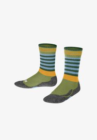 Niet geselecteerd, ferngreen