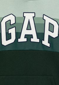 Roheline ja teeltriibuline spordisärk, millel on suurelt valged tähed "GAP". Pehme kangas mõõduka tekstuuriga, ribitud mansetid ja kenguru tasku.