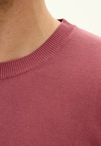 Maglione a maglia lampone con scollo rotondo, texture fine e collo a coste. Il tessuto appare liscio e leggero.