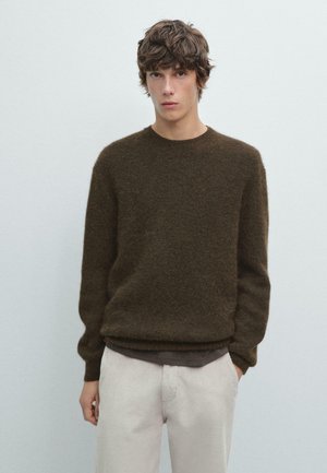 Young man with wavy brown hair wearing a dark brown fuzzy sweater and light beige pants, standing against a plain light background.