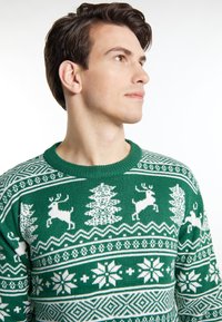 Grüner Pullover mit weißen Mustern von Rentieren, Bäumen und Schneeflocken. Stricktextur mit Rundhalsausschnitt und gerippten Bündchen.