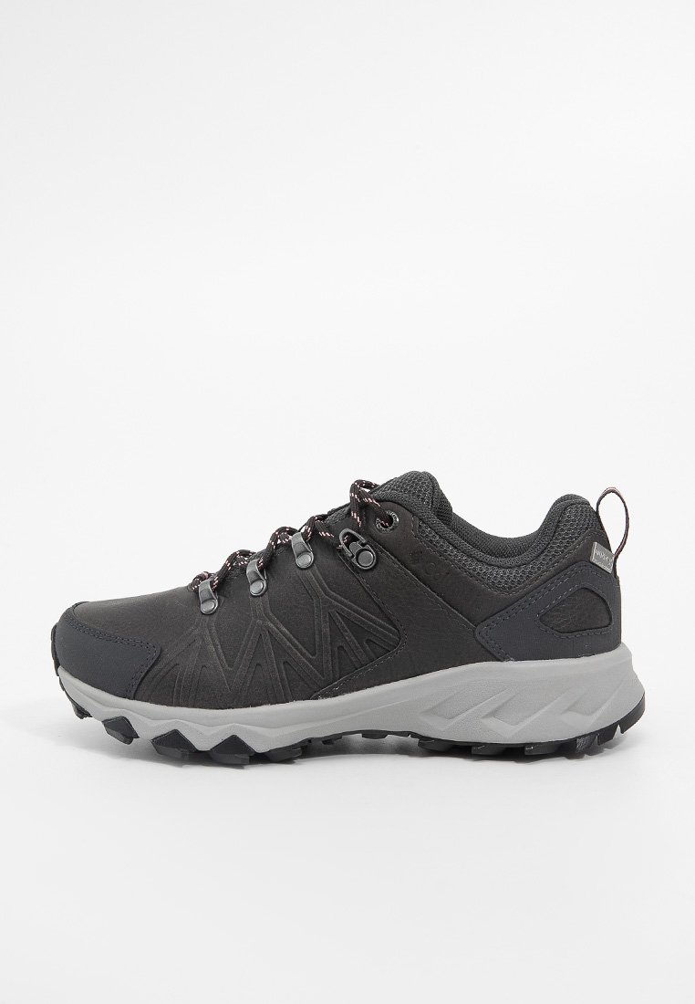 Columbia Outdoorschoenen grijs