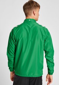 Grüne, leichte Jacke mit glatter Textur, Stehkragen und elastischen Bündchen; verfügt über weiße Akzente auf den Schultern.