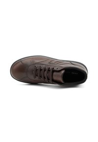 Frau Shoes Zapatillas - brown