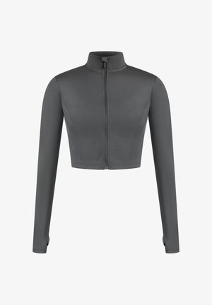 Grå, cropped atletiskjakke med lange ærmer, høj krave og lynlås foran. Glat, strækstof uden synlige mønstre eller accenter.