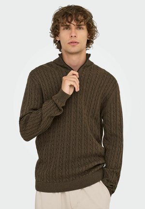 Young man with curly hair wearing a dark brown cable-knit sweater with a half-zip collar, standing against a light background.