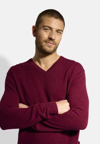 Bordeauxfarbener V-Ausschnitt-Pullover aus weichem Material, mit langen Ärmeln und figurbetonter Form. Die Textur wirkt glatt mit einem dezenten Glanz.
