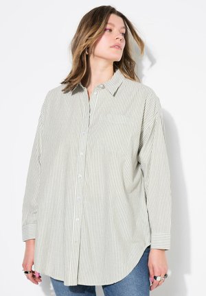 Camicia a maniche lunghe a righe in verde chiaro e bianco, con chiusura a bottoni sul davanti, colletto e taschino sul lato sinistro.