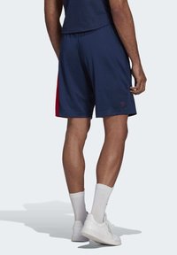Granatowe spodenki sportowe z czerwonymi bocznymi panelami, wykonane z lekkiego materiału. Posiadają elastyczny pas i mały detal z logo na końcu.