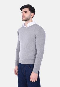 Maglione grigio a V realizzato in materiale morbido, con polsini e orlo a coste, indossato sopra una camicia bianca con colletto. Design casual.