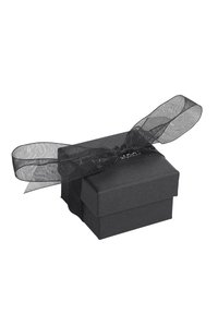 Scatola regalo nera con una superficie testurizzata, chiusa con un fiocco di nastro trasparente nero sopra. La scatola ha una forma quadrata e è chiusa senza contenuti visibili.