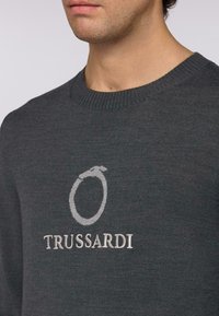 Grauer Pullover aus Strickstoff mit Rundhalsausschnitt. Er hat ein hellgraues Logo und den Markennamen "TRUSSARDI" in kontrastierendem Design.
