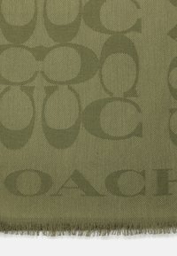 Sciarpa verde oliva con motivo logo tessuto. Texture morbida con bordi sfrangiati, che presenta un design prominente in una finitura tonale e sottile.