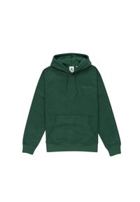 Groene pullover hoodie gemaakt van zachte stof, met een voorste kangoeroezak, een capuchon met trekkoord en subtiele logo borduursel op de borst.