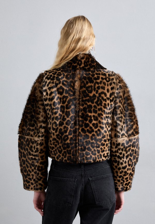 ROWANI - Leather jacket - leopard3