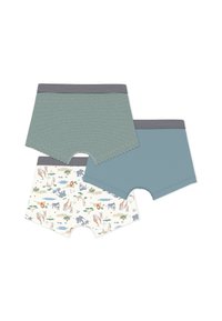 Τρία ζευγάρια ανδρικά εσώρουχα τύπου boyshort: ένα με πράσινες και ναυτικές ρίγες, ένα μονόχρωμο σε τιρκουάζ και ένα με σχέδια ζώων και φυσικής τοπίου.