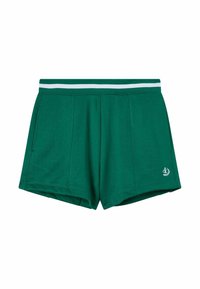 Pantalones cortos deportivos verdes hechos de tela suave, con una cinturilla elástica de rayas blancas, dos bolsillos laterales y un sutil detalle de logo.