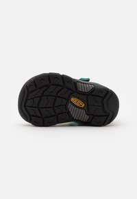 Keen NEWPORT H2 UNISEX - Vaellussandaalit - rainbow