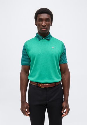 Homme portant un pull sans manches vert par-dessus un polo rayé turquoise et noir, pantalon noir et ceinture marron, debout sur un fond blanc uni.