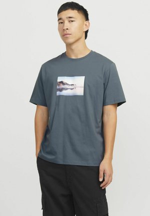 Grå kortærmet t-shirt med et rektangulært fotografisk print af et landskab på forsiden, der viser en kystudsigt og bjerge.