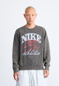 Grå bomulds sweatshirt med et stort Nike-logo i hvid og rød samt et heste grafisk motiv. Designet har en rund hals og lange ærmer.