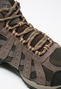 Columbia Hikingskor - brown