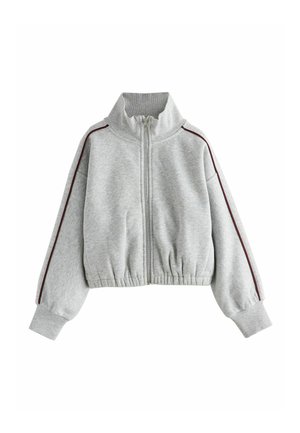Next, ZIP THROUGH SWEATSHIRT - Mikina na zip - grey