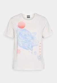 EXPLORE GRAPHIC TEE - Printtipaita - antarctica