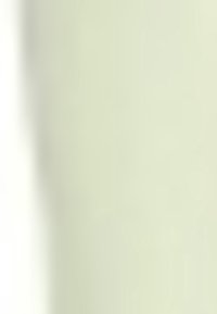 Surface texturée beige clair avec des motifs ondulés subtils, finition lisse et léger éclat. Convient pour le rembourrage ou la décoration.